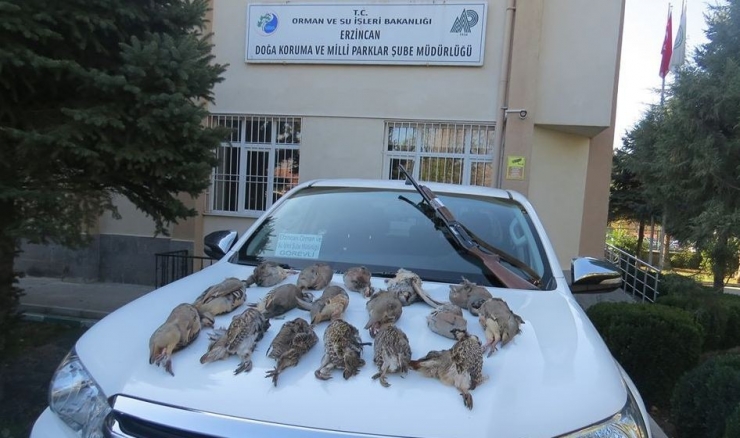 Usulsüz Avlanılan Av Hayvanlarının Etleri İmha Edildi