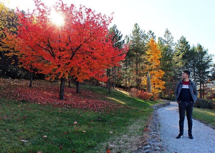 Kırşehir’de Japon Bahçesi, Doğal Güzelliğiyle Büyülüyor