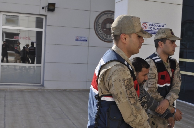 Fıstık Hırsızlarının Elebaşı Yakalandı