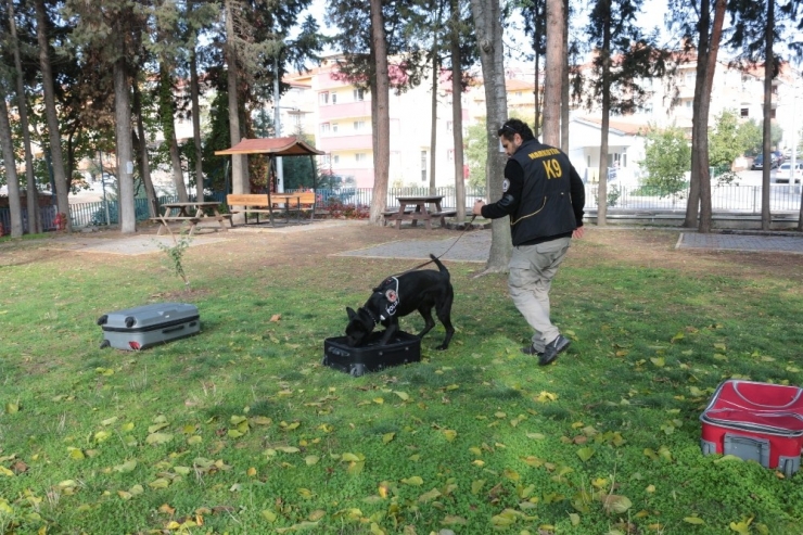 Teşkilatın Gözdesi Bath, Balıkesir’de Göreve Başladı