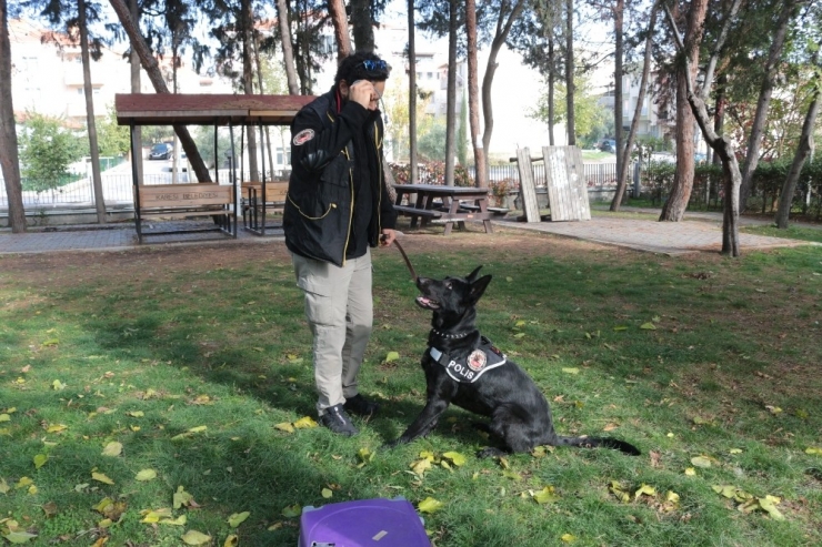 Teşkilatın Gözdesi Bath, Balıkesir’de Göreve Başladı