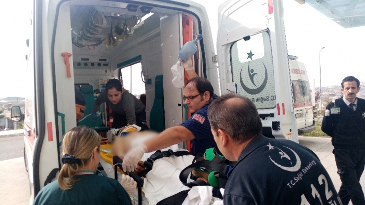 Tekirdağ’da Üzerine Ağaç Düşen Adam Ağır Yaralandı