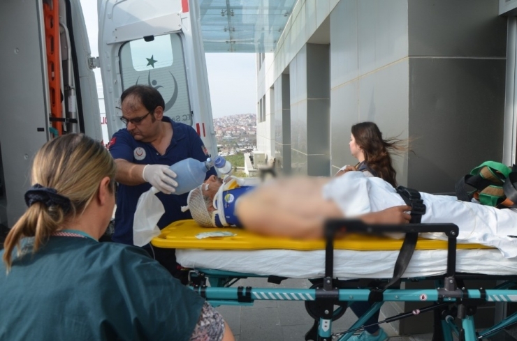 Tekirdağ’da Üzerine Ağaç Düşen Adam Ağır Yaralandı