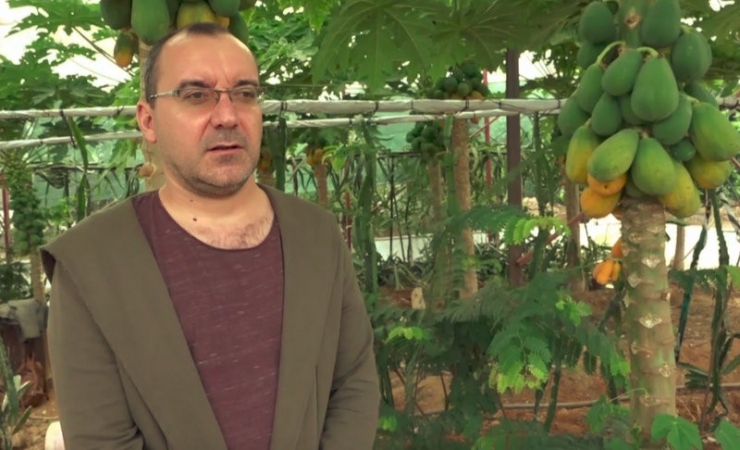 Okuduğu Yalnız Ada Filmlerinde Etkilenip Papaya Üretimine Başladı
