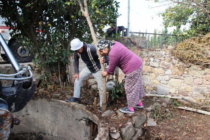 Kuyuya Düşen 100 Kiloluk Domuz Vinç Yardımıyla 6 Saate Kurtarıldı