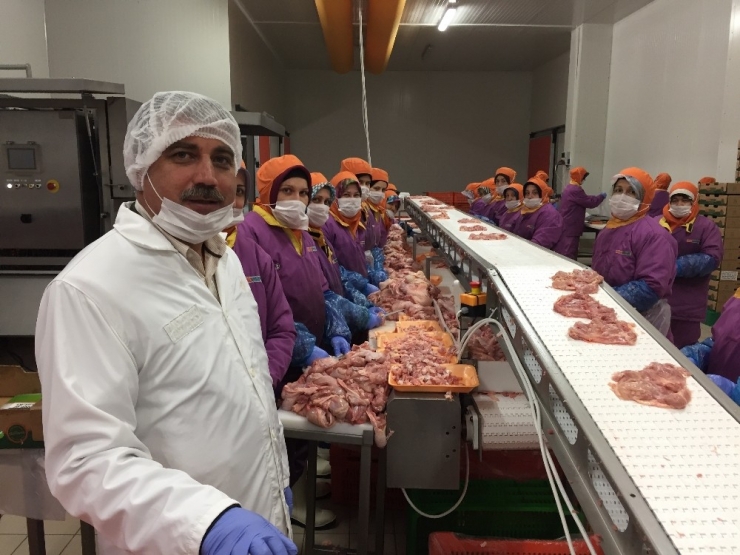 Beyaz Ette Tercih Balık Yerine Tavuk