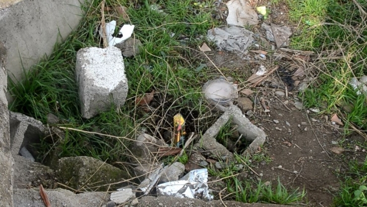 Vicdansız Anne Bebeğini Poşete Koyup Arsaya Attı