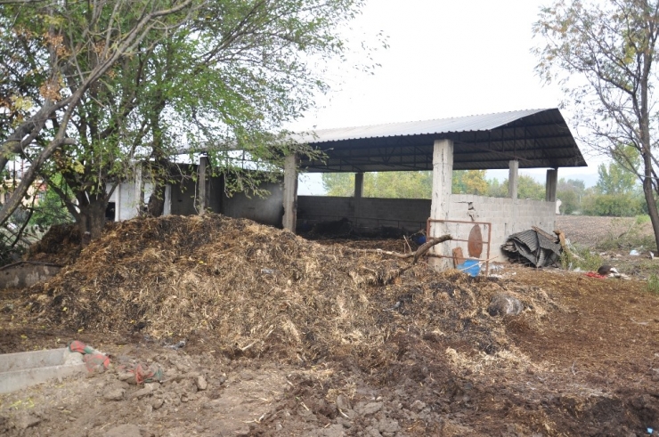 Osmaniye’de Ahır Yandı, 7 Büyükbaş Hayvan Telef Oldu