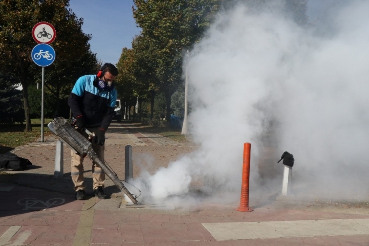 Sivrisinek İle Mücadele Devam Ediyor