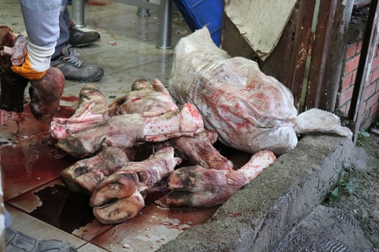 Sakarya’da 20 Ton Kaçak Et Ve Sakatat Ele Geçirildi