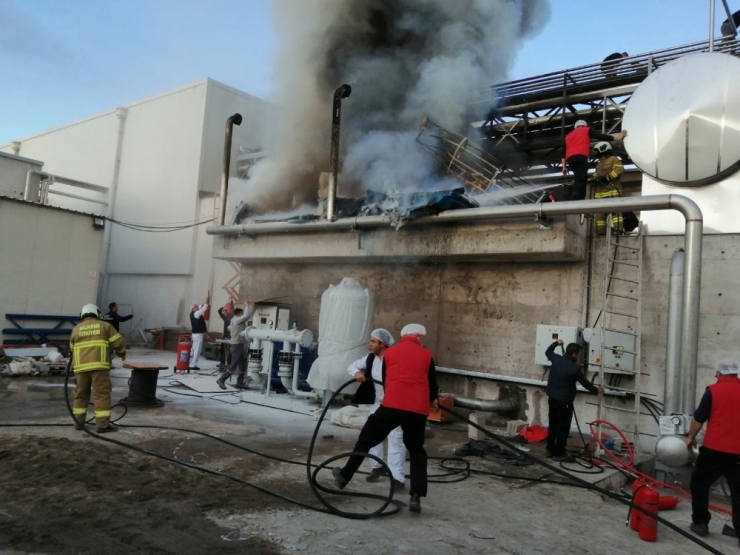 Süt Fabrisasında Yangın