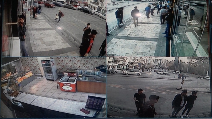 Alman Kurdunun Kaptığı Kediyi Ağzından 5 Kişi Güçlükle Kurtardı