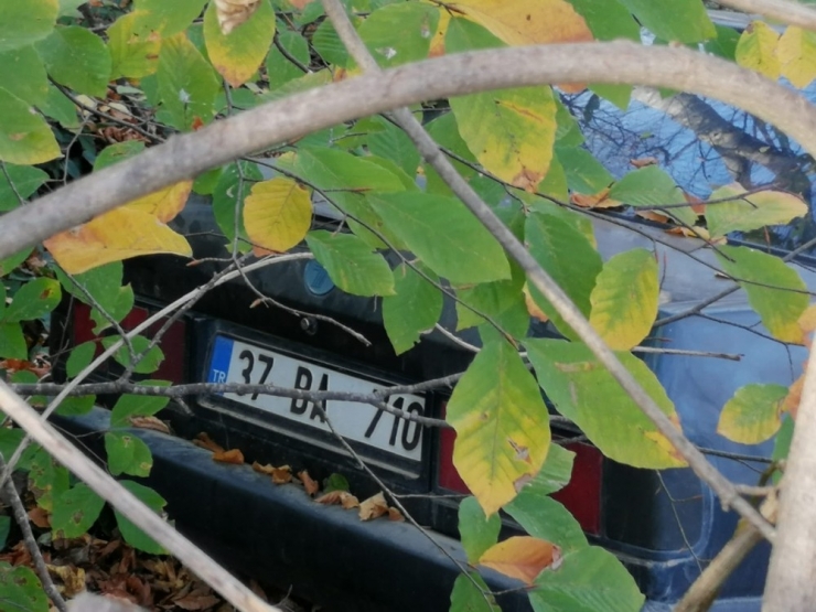 Ormanlık Alana Uçan Otomobil Ağaçlara Takıldı: 3 Yaralı