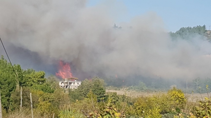 Osmaniye’de Orman Yangını
