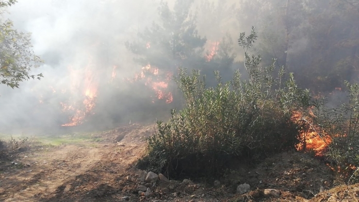 Osmaniye’deki Orman Yangınını Söndürme Çalışmaları Sürüyor