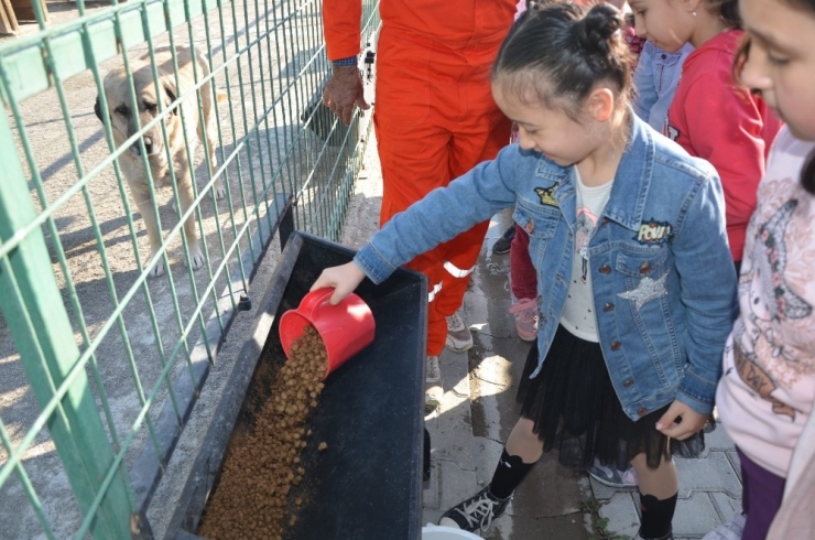 Miniklerin Biriktirdikleri Harçlıkları Sokak Hayvanlarına Mama Oldu