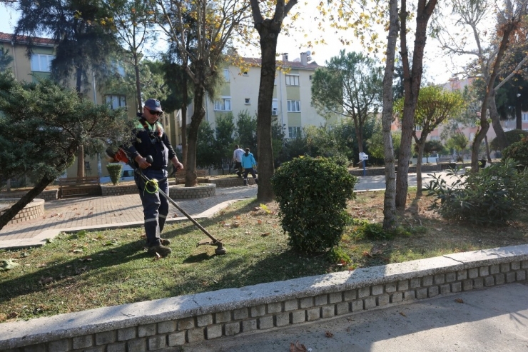 Efeler Belediyesi Yeşil Alanlarda Bakım Çalışmalarına Devam Ediyor