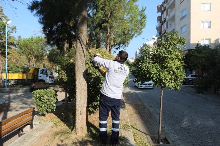 Efeler Belediyesi Yeşil Alanlarda Bakım Çalışmalarına Devam Ediyor