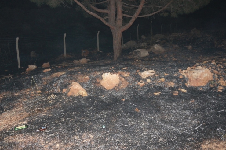 Ormanlık Alanda Korkutan Yangın