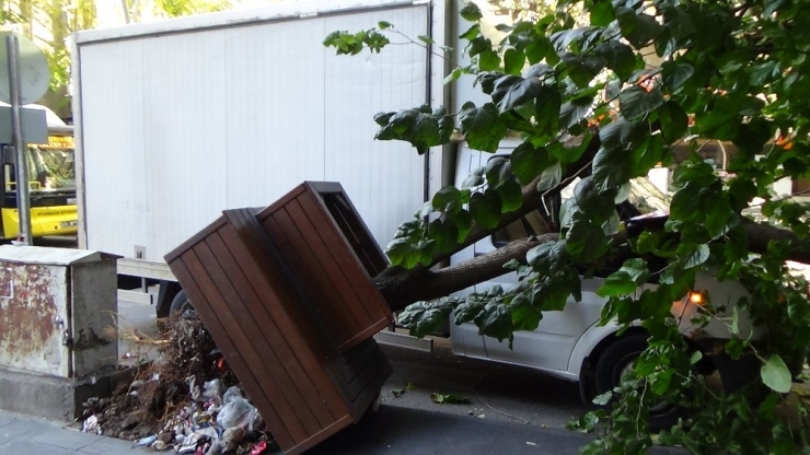 Çarptığı Ağaç, Aracının Üzerine Devrildi