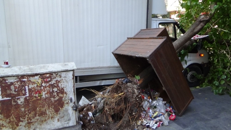 Çarptığı Ağaç, Aracının Üzerine Devrildi