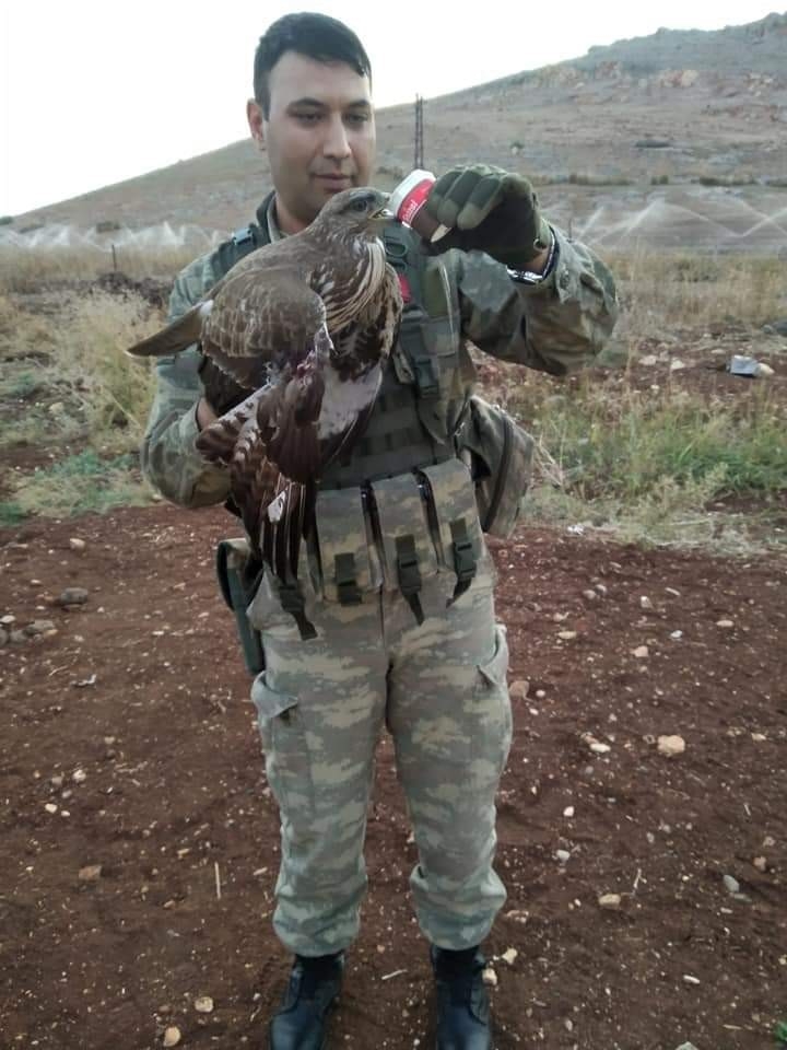 Hudut Tellerine Takılan Şahinin İmdadına Mehmetçik Yetişti