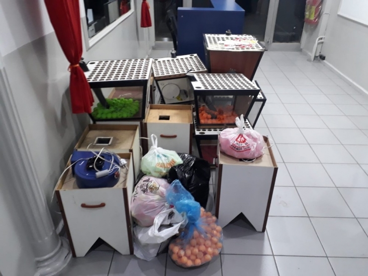 Konya’da Tombalaya Suçüstü