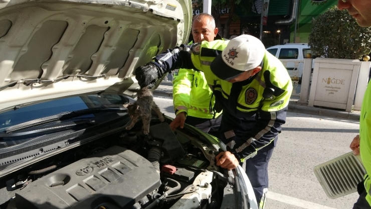 Polis Otosunun Kaputuna Giren Yavru Kedi Polisler Tarafından Kurtarıldı
