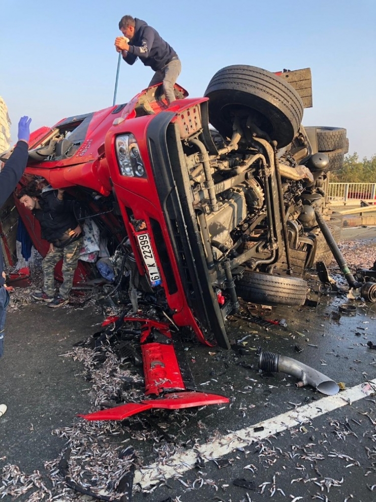 Trabzon’da Hamsi Yüklü Tır Kaza Yaptı: 1 Yaralı