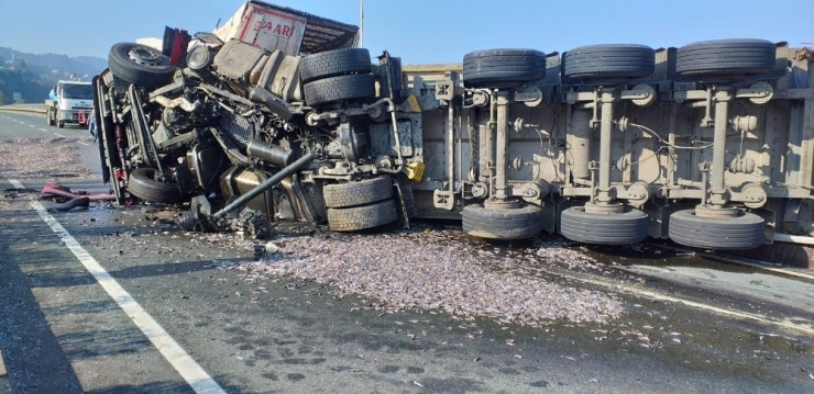 Trabzon’da Hamsi Yüklü Tır Kaza Yaptı: 1 Yaralı