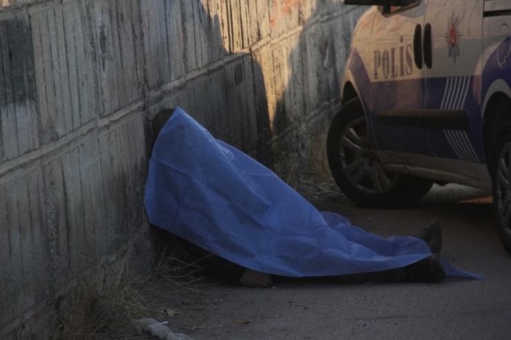 "Ölüü" Yazan Duvarın Dibinde Öldü