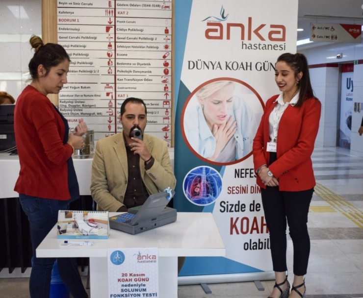Anka, Koah Hakkında Bilgilendirdi