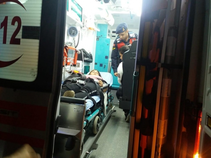 Çaldıkları Koyunları Ucuz Fiyata Satmışlar