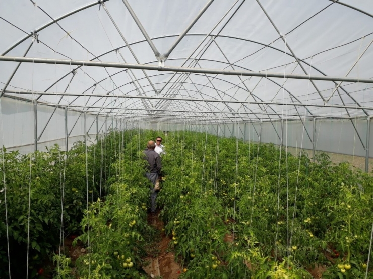 Manisa’da Seracılıkta Büyük Artış