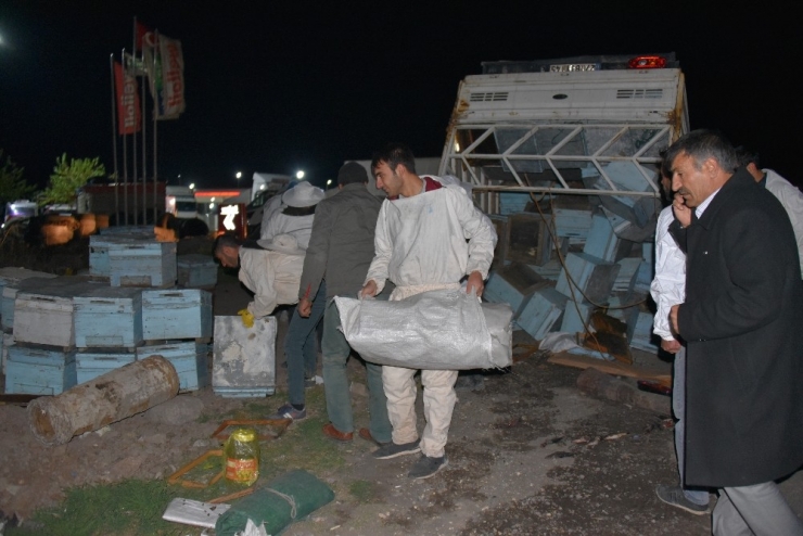 Arı Kovanı Yüklü Kamyonet Kaza Yaptı, Arıcılar Yardım İçin Seferber Oldu