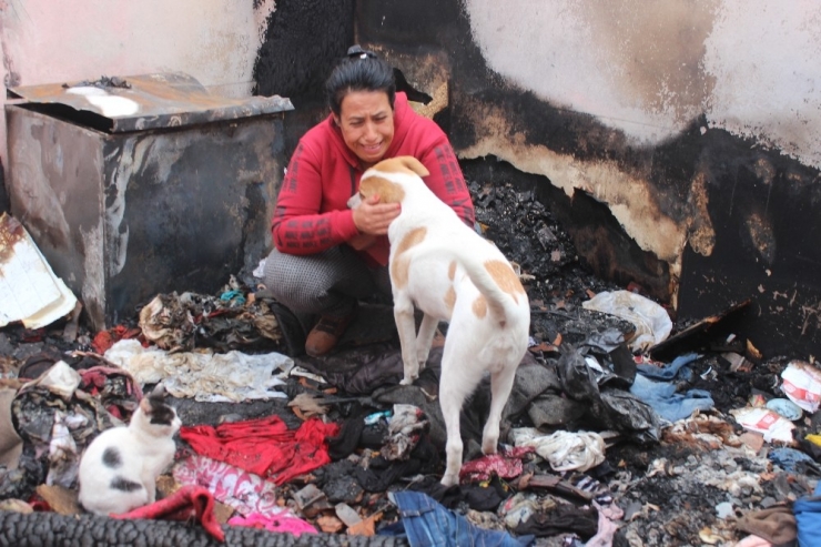 Evleri Yanınca 15 Kedi Ve 2 Köpeğiyle Evsiz Kaldı
