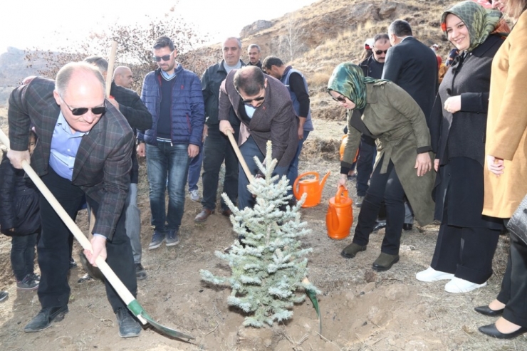 Öğretmenler İçin 6 Bin Fidan Dikildi