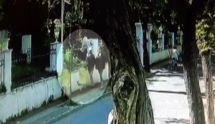 Eski İngiliz Ajanı Le Mesurier’in Ölmeden Önceki Son Görüntüsü