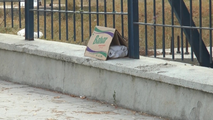 Üniversite Kampüsünde Şüpheli Paket Paniği