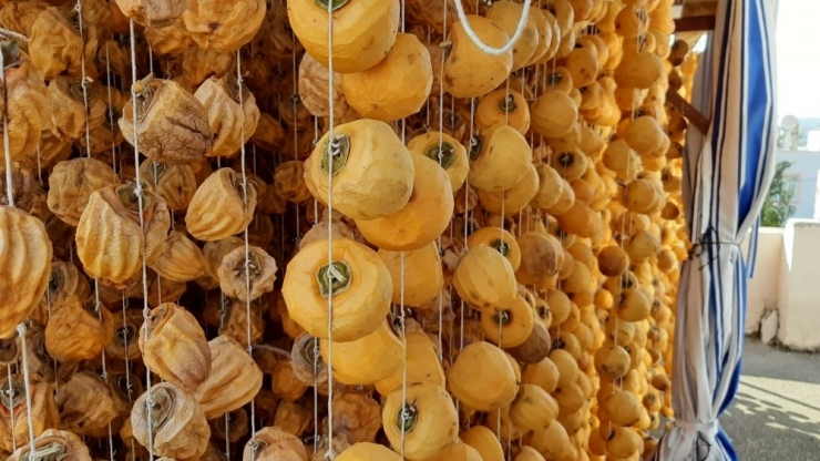 Kilosu 30 Lira Olan Hurma Kurusu, İlçenin Halkının Geçim Kaynağı Oldu