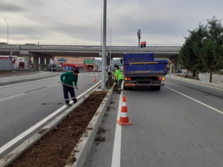 Büyükşehir Bahriye Üçok Caddesi’ni Yeşillendirdi