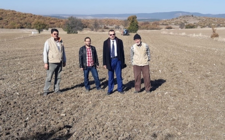 Tavşanlı’da Macar Fiği Ekimi