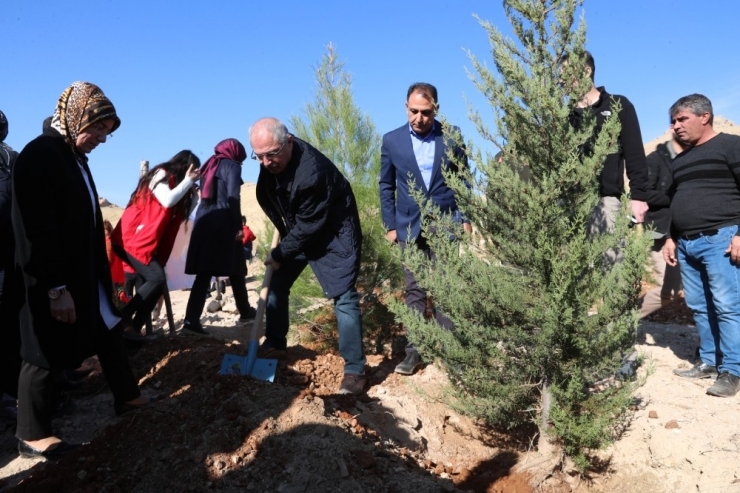 Mardin’de Bir Dünya Kadın Hatıra Ormanı Oluşturuldu