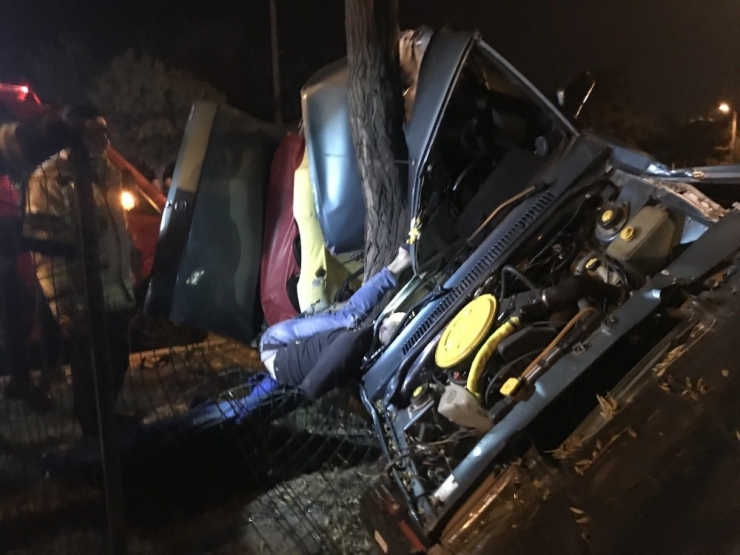 Ağaca Çarpan Araçta Feci Ölüm