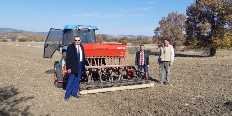 Tavşanlı’da Macar Fiği Ekimi