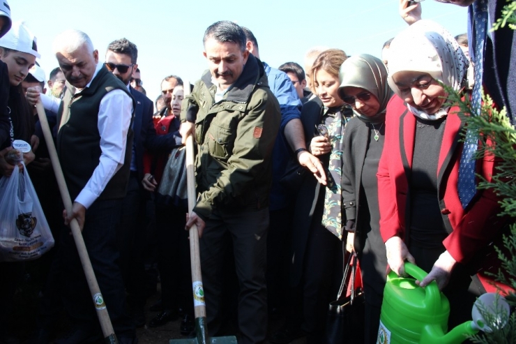 Bakan Pakdemirli Ve Binali Yıldırım 850 Bin Fidanın Dikildiği Törende Buluştu