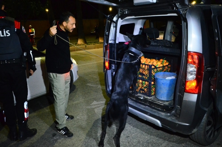 Adana’da 2 Bin 647 Polisle Uygulama