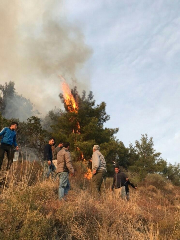 Hatay’da Orman Yangını