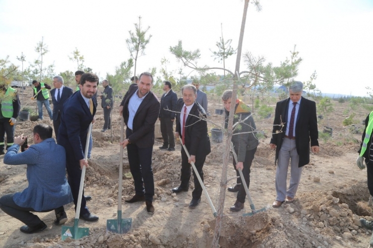 Niğde Belediyesi 2 Bin 350 Öğretmen İçin Fidan Dikti