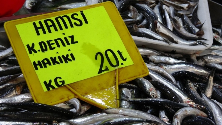 Karadeniz Hamsisinin Kilogram Fiyatında Düşüş Sürüyor